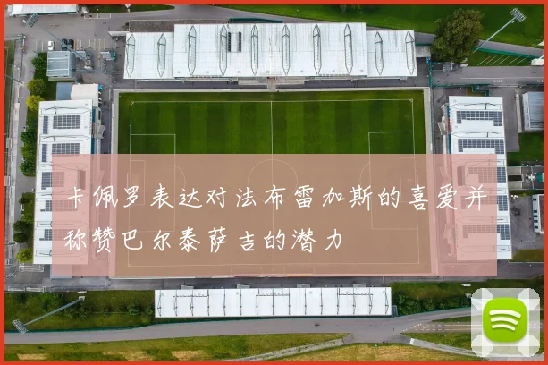 卡佩罗表达对法布雷加斯的喜爱并称赞巴尔泰萨吉的潜力