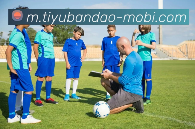 半岛体育平台生态图