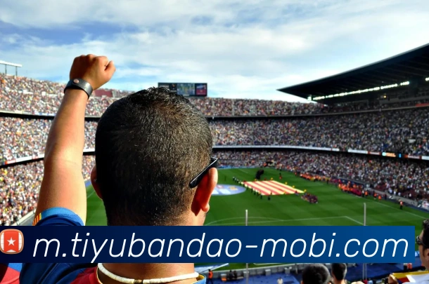半岛体育APP 封面图
